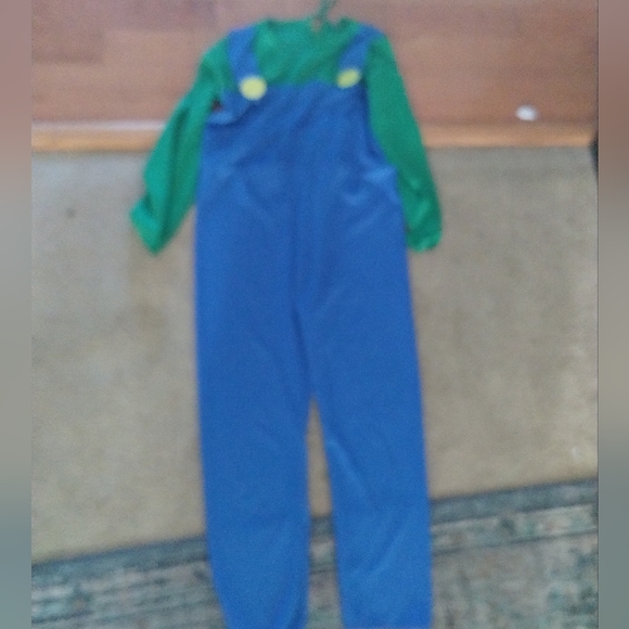 Costumes Luigi Youth Xl Halloween Costume Poshmark
